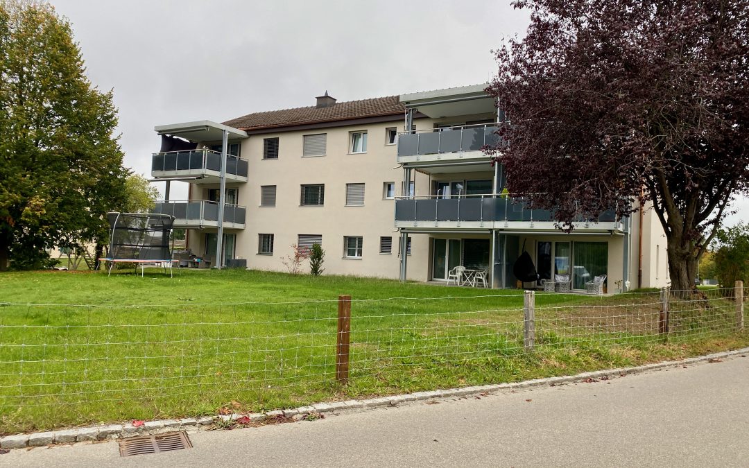Sanierung 2 MFH Arnegg
